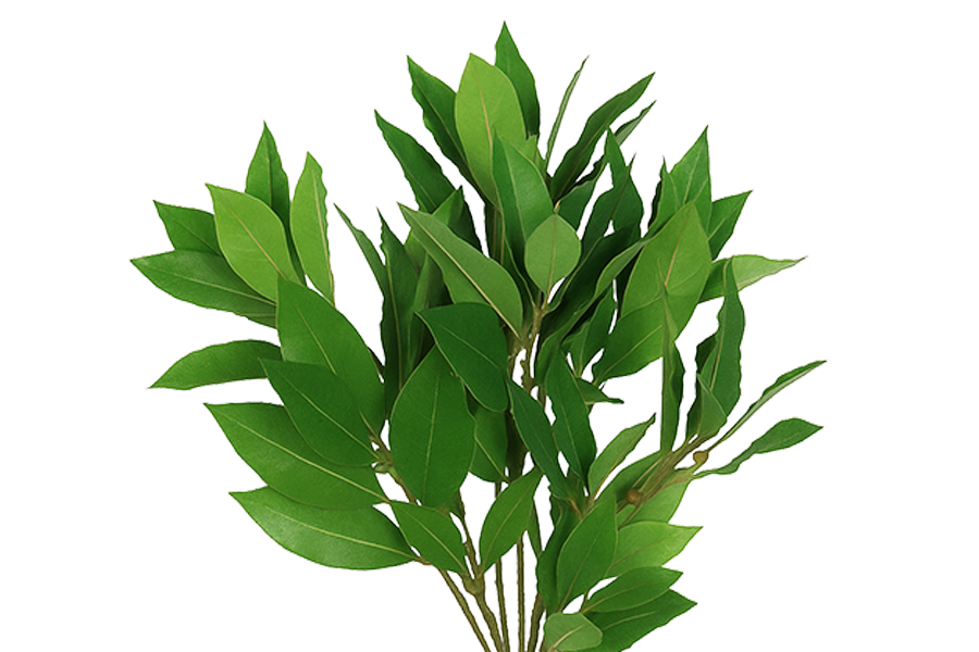 Laurel Agrofresh Laurel Agrofresh